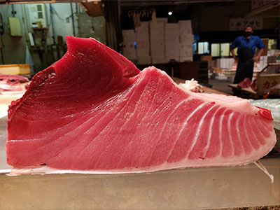 養殖本まぐろ